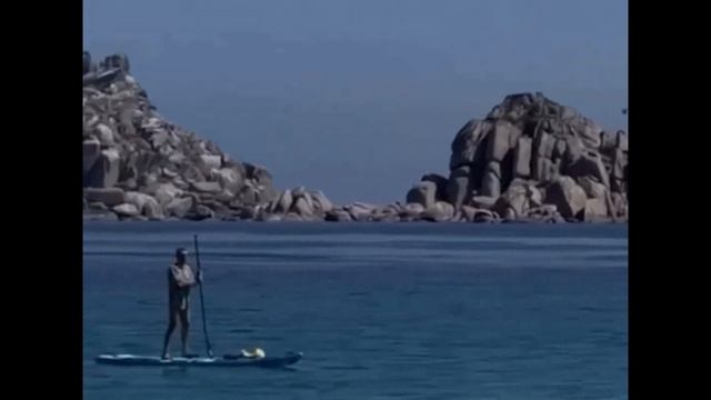 Жители Приморья отменили купальный сезон из-за нашествия акул в регионе смотреть онлайн
