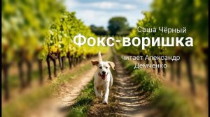 «Фокс-воришка».  Саша Чёрный. | Аудиокнига. Чтилум. Александр Демченко