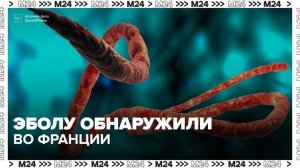Случай заболевания лихорадкой Эбола выявили во Франции