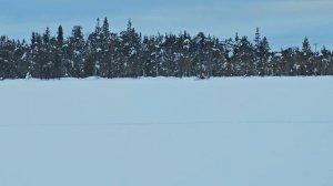 Лайфстайл в Карелии