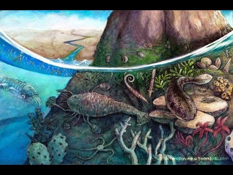 Три Ютуб-канала делающих вас умнее смотреть онлайн