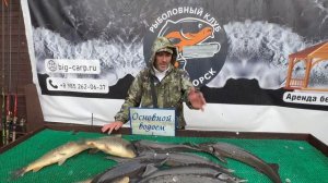 Владимир,путёвка «Сутки»