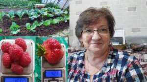 Сегодня очень интересно и вкусно.. 28.06.26