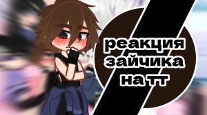 Реакция зайчика на тт (ч.о) #зайчик