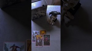 Таро. Гадание на картах