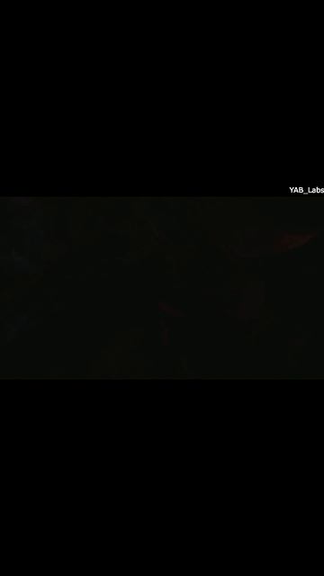 METRO Exodus подрыв