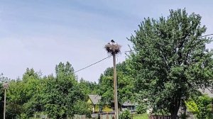 Беларусь