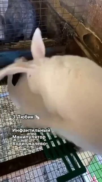 Для изучения смотреть онлайн