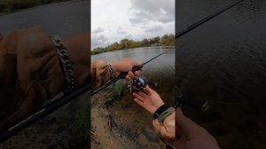 Фри-риг в деле.Простой и уловистый монтаж.С микроджигом в черте города.