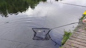 Поимка Карпа