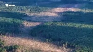 🌪️Видео дня – вид сверху на последствия мощного смерча в Свердловской области

Стихия пронеслась