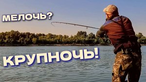 Изменил ЭТО и попёр КРУПНЯК! Секретная тактика ловли крупной рыбы на фидер. ЛЕЩ, САЗАН, СУДАК