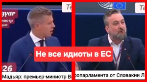 «Г-жа Фон дер Ляйен, Вы угроза миру, Вы смертельный яд!» Нескучное заседание в Европарламенте