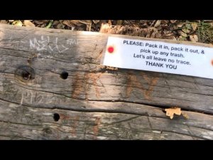 170. SF. 12/29 К вершине ползком