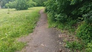 Моя выпечка. Отвечаю на вопросы про зрение