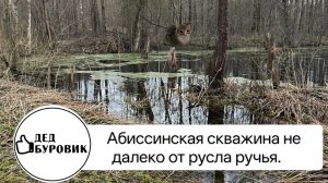 Абиссинская скважина не далеко от русла ручья.