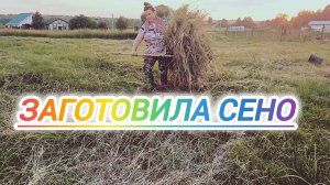 ЗАГОТОВИЛА СЕНО