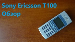 SONY ERIECON T100