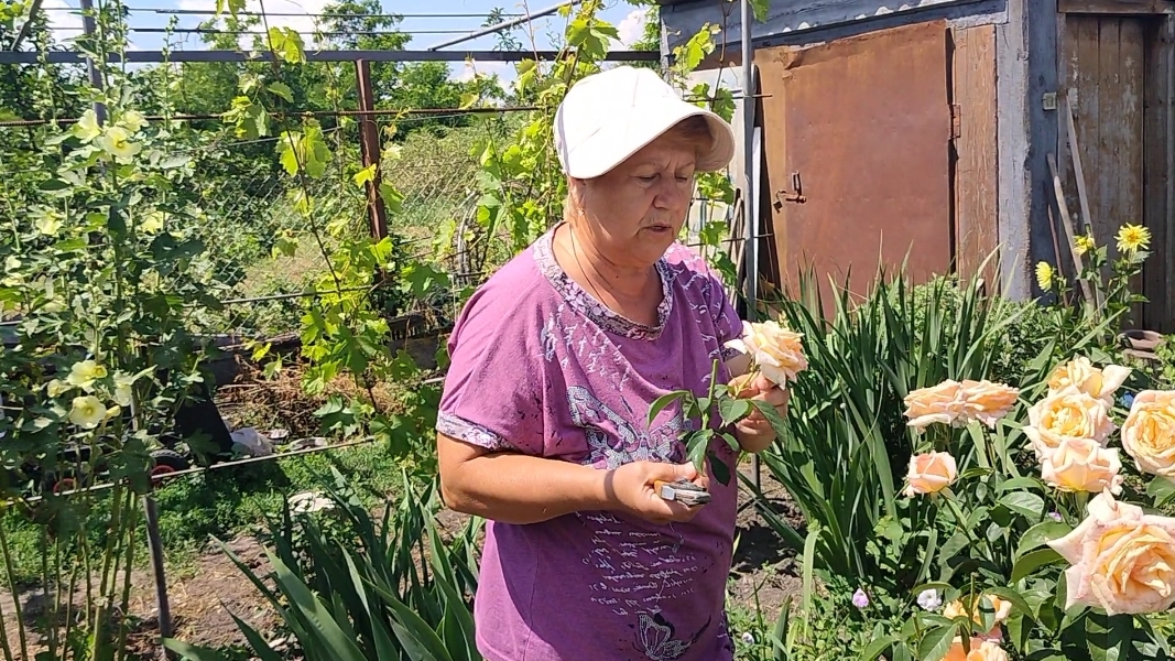 Новая шляпка. Обрезала розы. Стройка продолжается. Жизнь на пенсии. смотреть онлайн