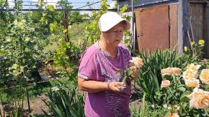 Новая шляпка. Обрезала розы. Стройка продолжается. Жизнь на пенсии.