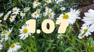 Лунный Календарь для Комнатного цветовода с29.06-5.07.26г.