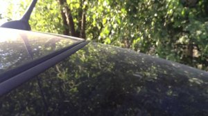 DD 512-2шт. Усь М1с