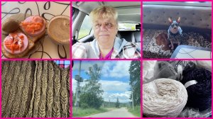28.06.26 🧶ПОЛУЧИЛА ПРЯЖУ ДЛЯ ПЛЕДА ✨ ОСЕНИЛО МЕНЯ СПУСТЯ ДВА ГОДА ✨