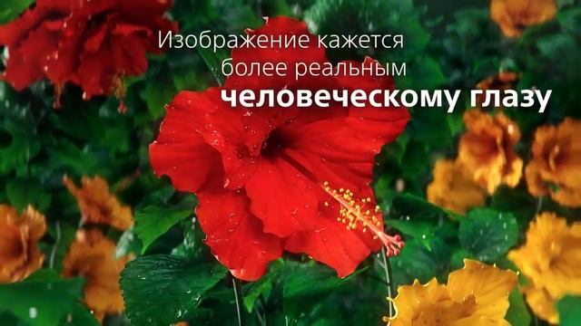 Телевизор X90J серии BRAVIA XR живой интеллект и контрастность в 4K смотреть онлайн