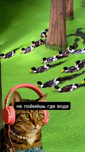 в каком озере можно плавать