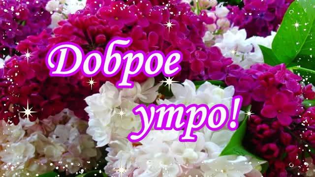 Доброе утро! Музыкальная открытка.