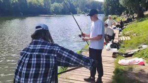Кукуруза с опариком