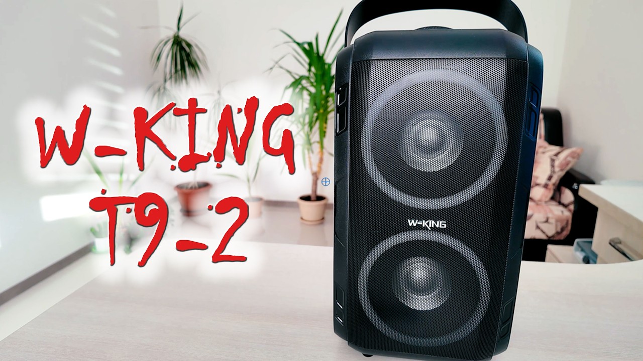 Хороший звук все еще можно купить за 6500 руб.  W-KING T9-2 на обзоре