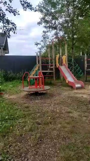 смешно цирк