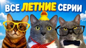 КОТИКИ В ШКОЛЕ СМОТРЯТ ВСЕ ЛЕТНИЕ СЕРИИ