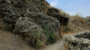 Горные ленивые крымские козы в деле