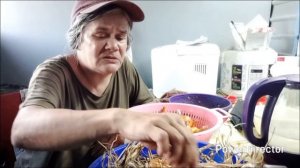 Лук плохой, насос не качает, настроения нет.
