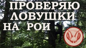 Проверяю колоды на рои