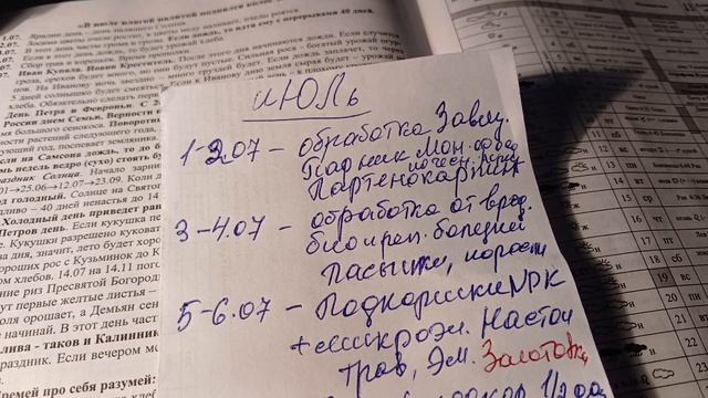 2540. Рассадный 26. Июль,благоприятный. смотреть онлайн