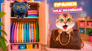 ДОМАШНИЕ ПРАНКИ КОТОВ над ХОЗЯЙКОЙ! СМЕШНЫЕ РОЗЫГРЫШИ. 10 МЕСТ, ЧТОБЫ РАЗЫГРАТЬ ХОЗЯЙКУ!