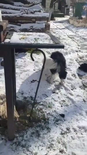 Миссия выполнима...)))