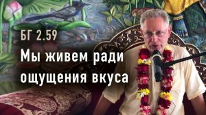 14.06.2026 Мы живем ради ощущения вкуса - Е.М. Враджендра Кумар прабху (Тушкин Василий Рюрикович)