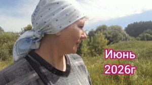 Ромашковая радость. Прогулка июнь 2026г.