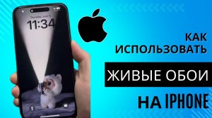 Как использовать живые обои на iPhone (iOS 26) | Легко установить живые обои