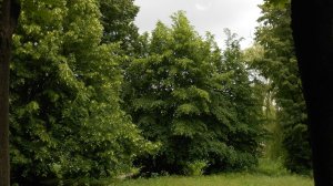 Запомни одну лишь фразу: все будет но не сразу.