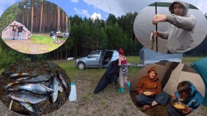 Ну зачем  вы зто сделали?