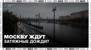 Климатолог рассказал о тенденции к росту затяжных дождей в Московском регионе - Москва 24