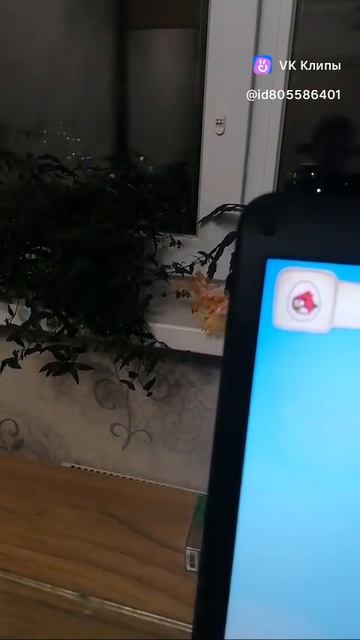 Довольный + Коварный 😊🙃🙂часть 3 смотреть онлайн