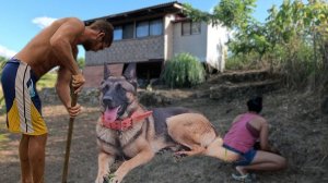 ИСХОД РУССКИХ МУЖИКОВ В ДЖУНГЛИ. We have a sad news  Province life with foreigners