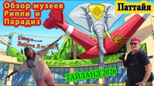 Паттайя, прогулка по музеям Рипли и Парадиз. В восторге от увиденного. Твйланд 2026