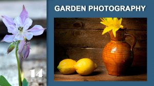 14.Garden Photography. ДачаФото.Still Life,